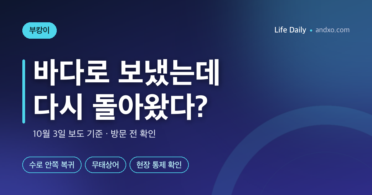 바다로 보냈는데 다시 돌아왔다? 부캉이 지금 어디 있나·북항친수공원 방문 전 확인