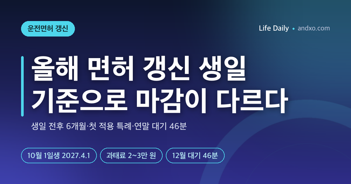 올해 면허 갱신, 12월 31일까지 아니어도 된다? 생일 기준 갱신기간·연말 대기 46분 정리