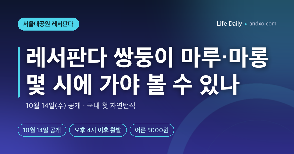 국내 첫 자연번식 레서판다 쌍둥이 마루·마롱, 10월 14일 공개｜몇 시에 가야 볼 수 있나