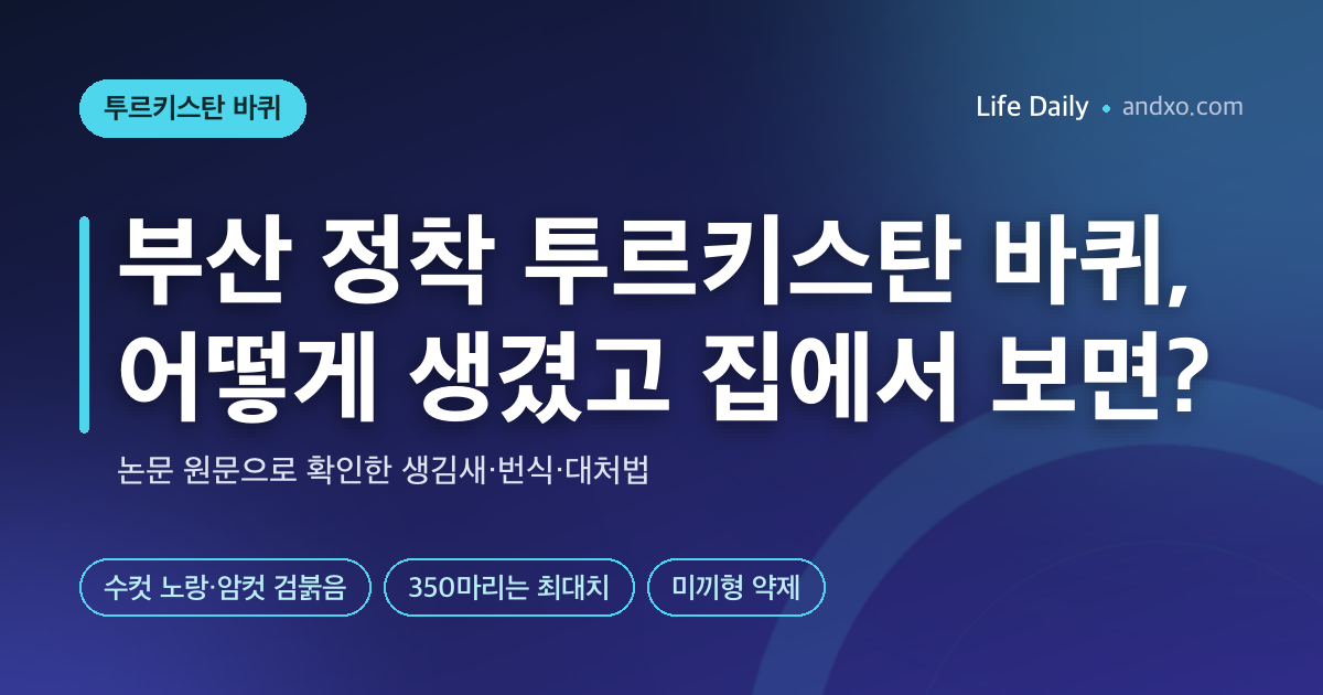 부산에 정착한 '중동 바퀴' 투르키스탄 바퀴｜검붉은 건 암컷뿐? 생김새·350마리의 진짜 의미·집에서 보면 할 일